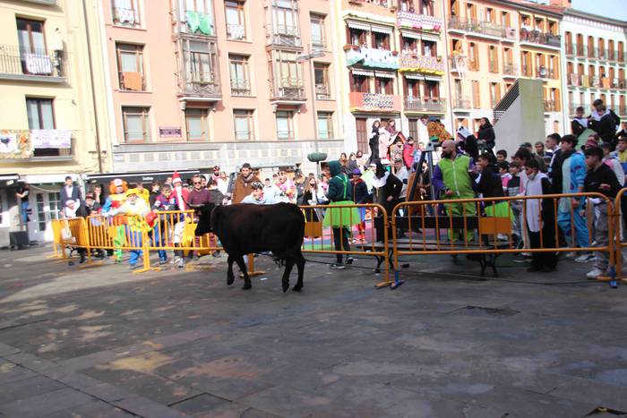 Soka zintzilik eta muturrak  21 1646140694611