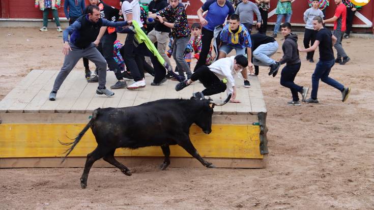 Lehenengo zezen festa