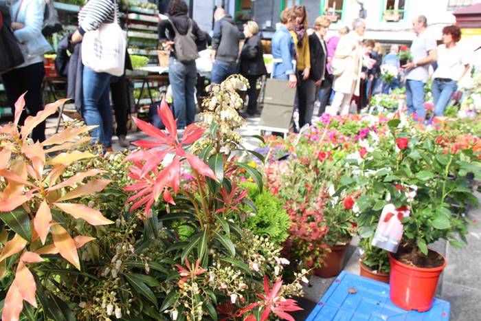 Udaberria loratu da Tolosan 20 1526734101058