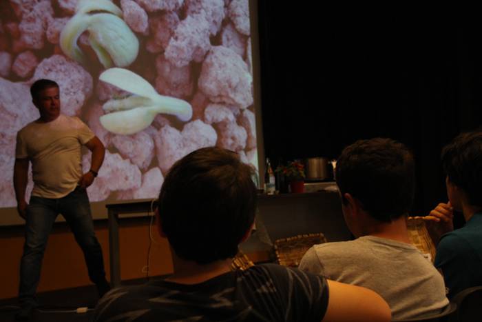 Tolosako babarrunaren ereitea 2016 1 1465470283896