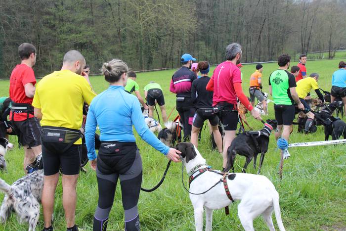 Zizurkilgo I. txakurkrosa 4 1460223964266