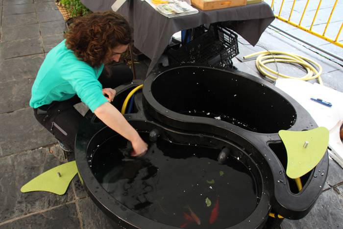 Plaza bat, etorkizuna ukitze 4 1490978183206