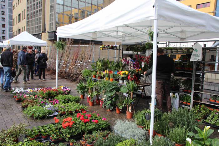 Zuhaitz azoka 2022 20 1645283030273