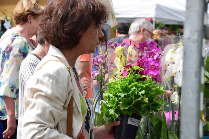 Lore eta Landare azoka Tolos 40 1652529032473