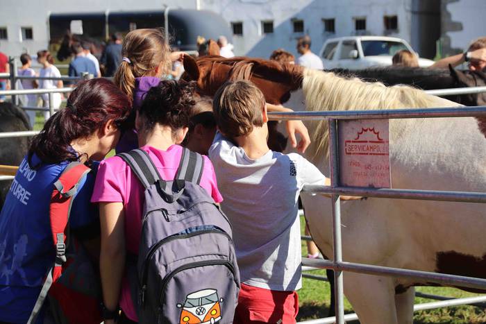 Jendetza elkartu du Asteasuk 41 1569763921070