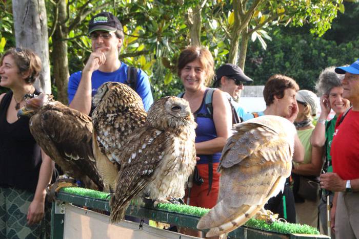 2016 bidea 26 1471775929657