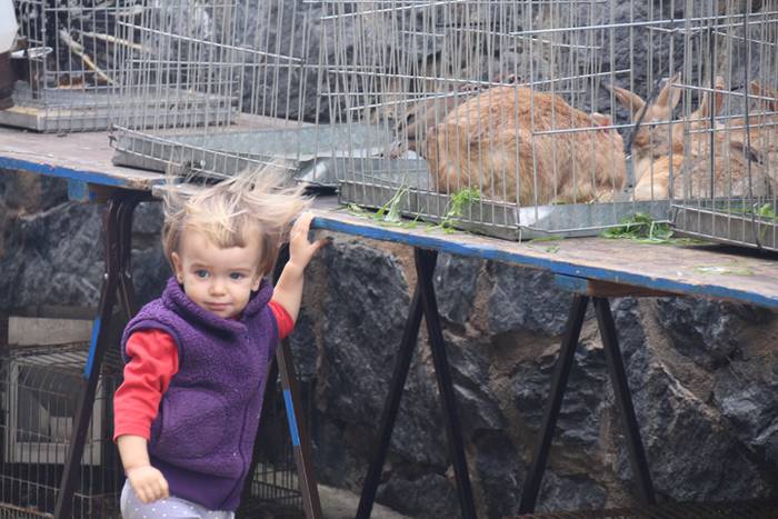 Bertako produktuak nagusi 31 1477233303725