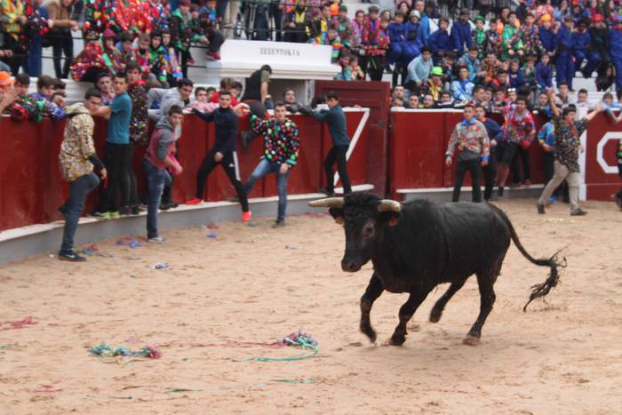 Inauteriak 2020, zezenak Ost 23 1582222552212