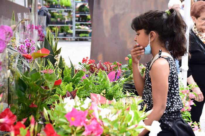 Lore eta Landare azoka Tolos 5 1652529024643