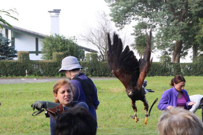 2016 bidea 45 1471776065489