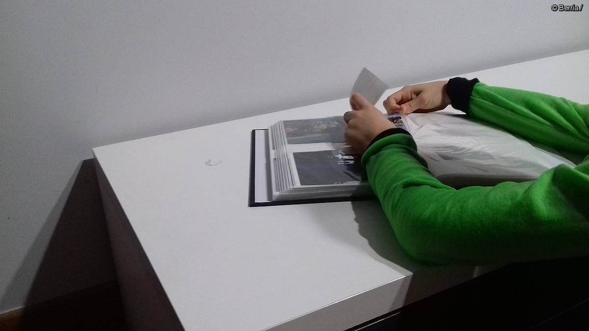Beharren neurriko familiak