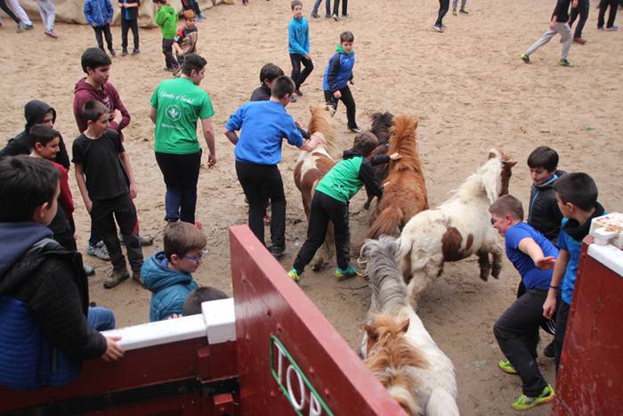 Txaranga eta zezenak piñata  23 1488738856765