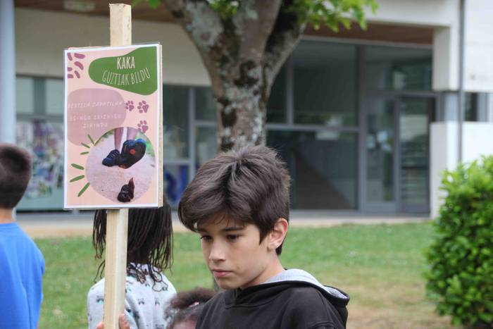 Txakur kakak jasotzeko karte 19 1653302374263