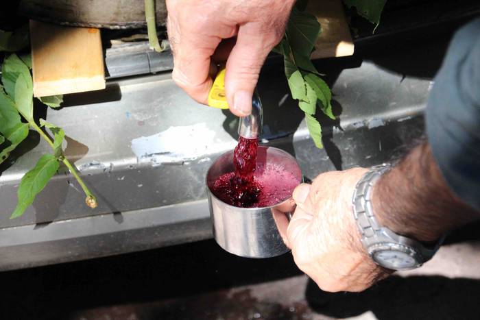 Ibarra San Bartolome jaiak 2 57 1535372454436