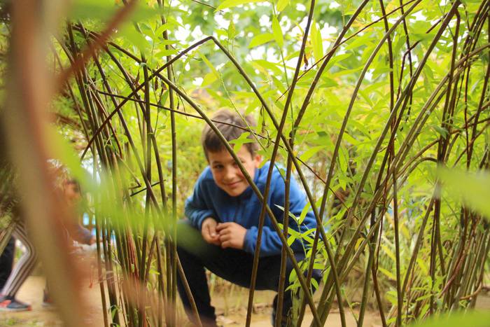 Samaniego Ikastetxea Lehen H 33 1559207401076