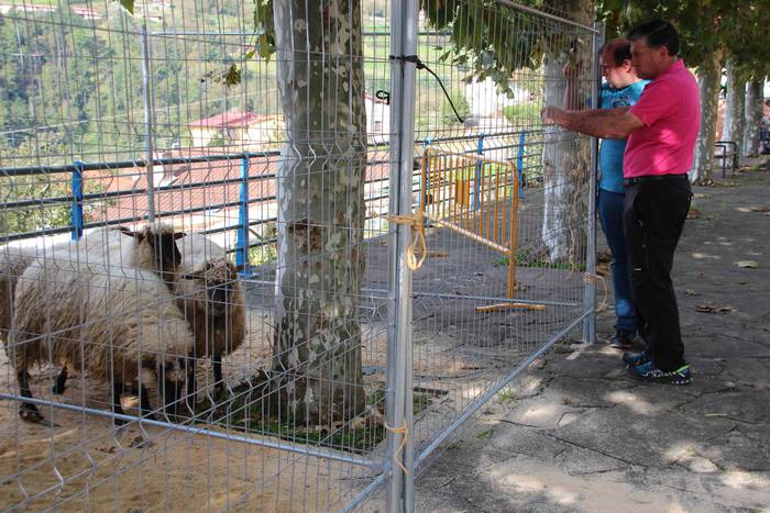 Goizez lan, arratsaldez fest 15 1572186206135