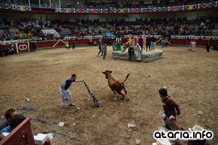 Pattar zezena 2016 61 1455012406363