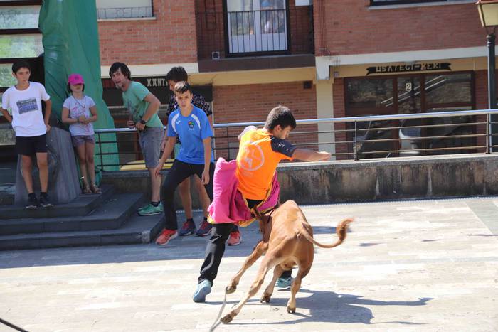 Festak hasteko, poniak eta z 50 1566994011563