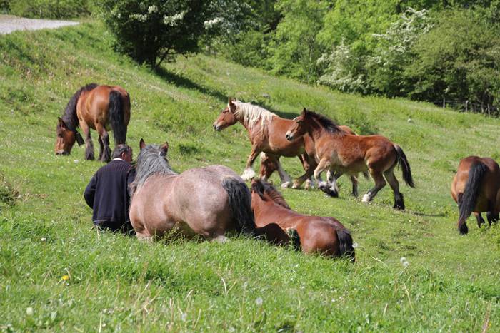 Larre irekiera Larraitzen 20 75 1493640117267