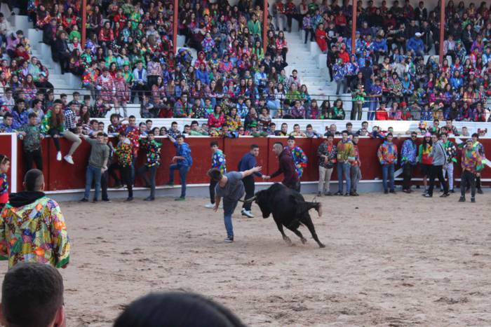 Inauteriak 2020, zezenak Ost 10 1582222544652