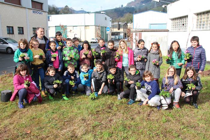 zuhaitz landatzea 2016 tolosa 12 1456503826415