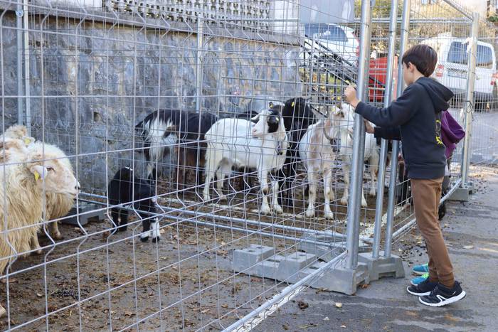 Zer ikusi izan da Bedaion 4 1668343694698