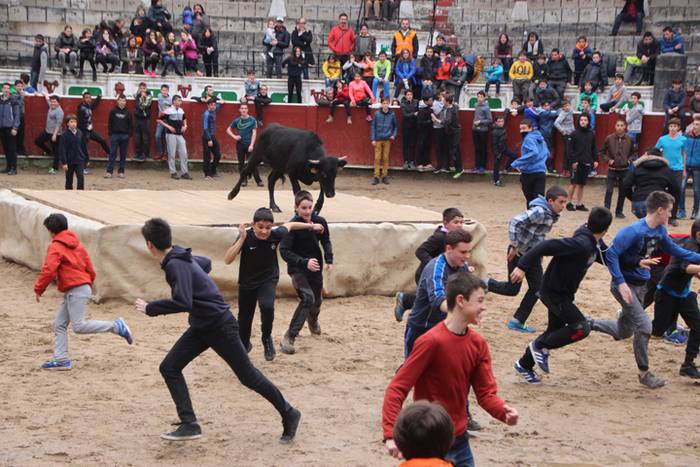 Txaranga eta zezenak piñata  17 1488738821233