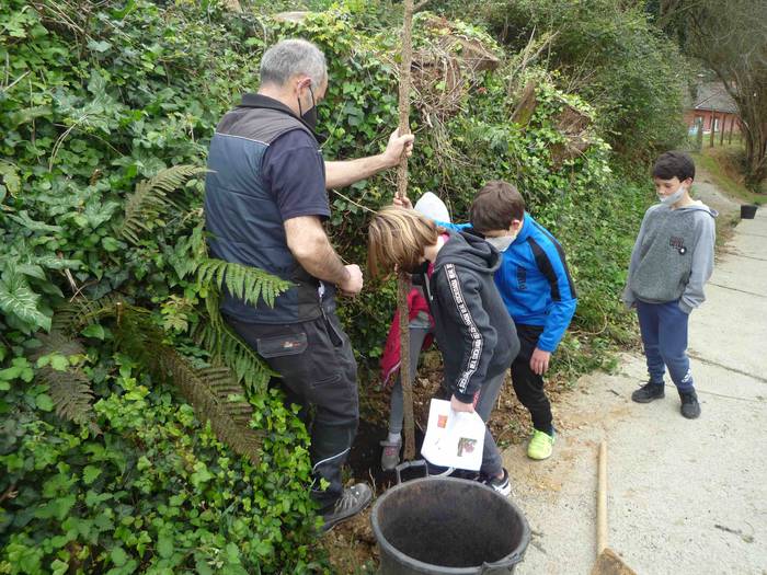 Zuhaitz landaketa Uzturpe ik 3 1616755854358