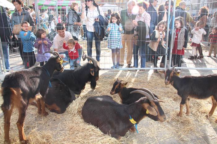 Tolosa Gabonetako Azoka berezia 2015 12 1450532616922