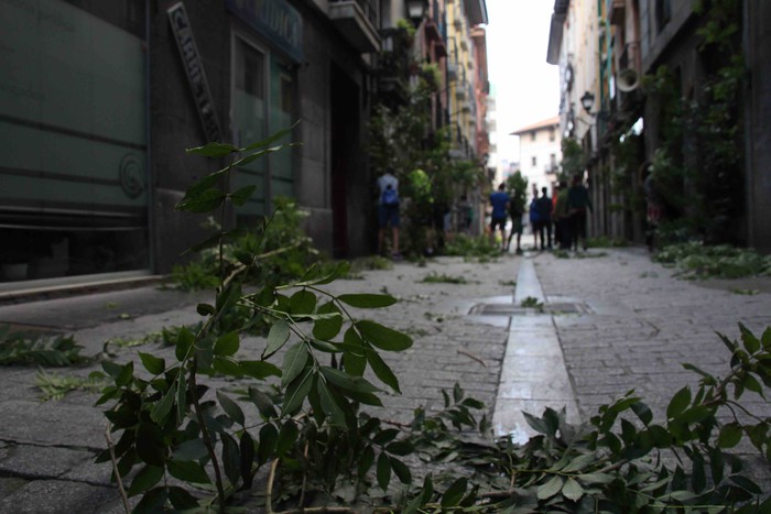 Berdez esnatzen da ekainaren 24a - 16