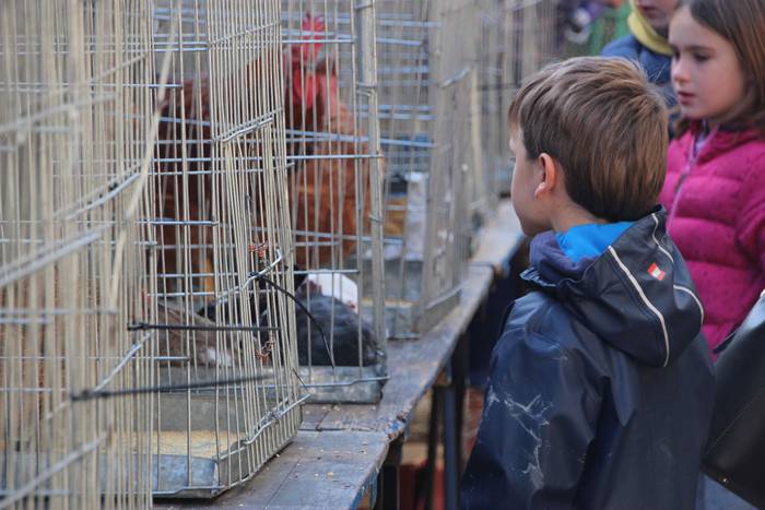 Denetik eta denentzat, Bedai 24 1541343466061