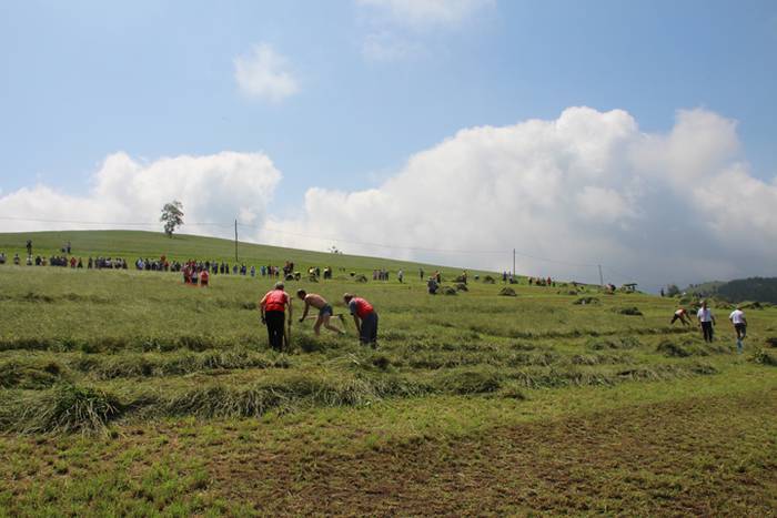 Jesus Mari Ormaetxea, Urki,  7 1499608046766