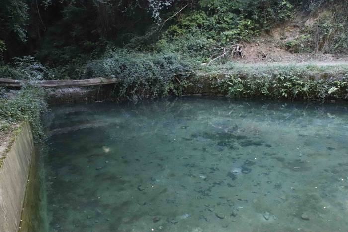 Malaka errekastoa 9 1627310006563