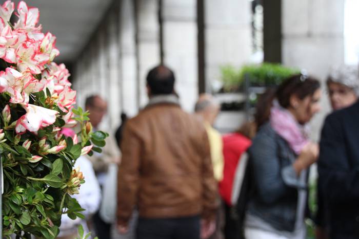 Eta liliek Tolosa ere amets 24 1495290332696