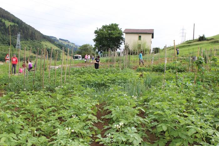 Herri baratzeak esleitzeko izen ematea zabaldu dute