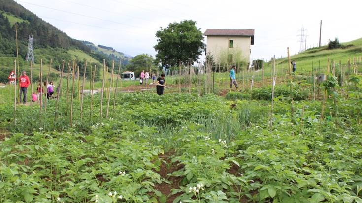 Herri baratzeak esleitzeko izen ematea zabaldu dute