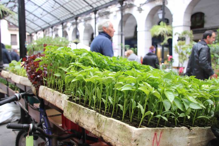 Lore eta Landare Azoka 2019 21 1558171905440