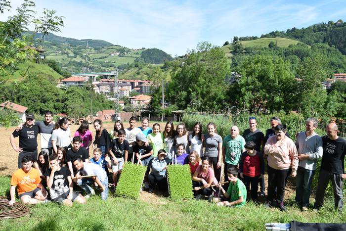 Piper landaketa Ibarran, 201 17 1494844358687