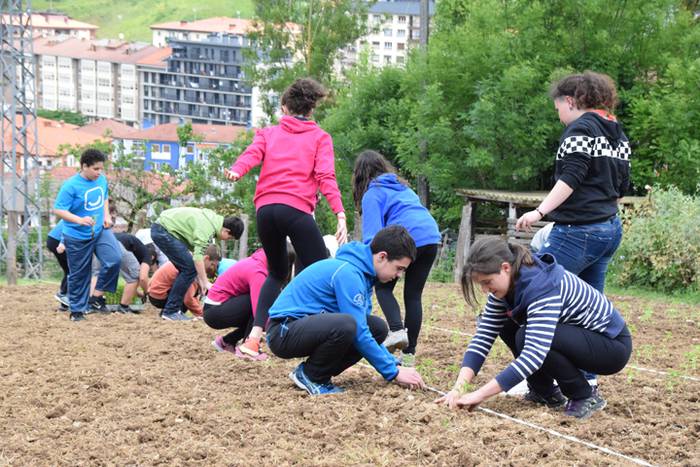 Piper landaketa uzturpe gureak  789 taldea 26 1464793775989