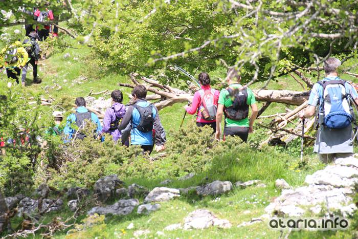 XIV Orduak Lekunberri-SanMigel-Guardetxe 132 1464533137862