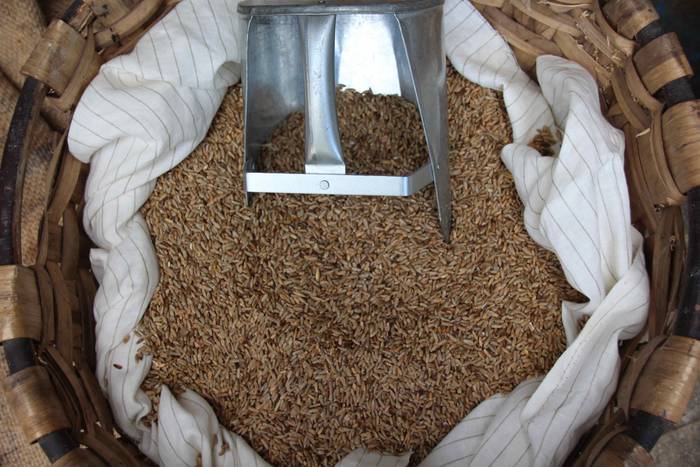 Auzolanaren fruitu, azoka 50 1541961274273