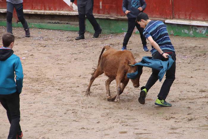 Txikienak zezen txikien aurr 4 1552240865019