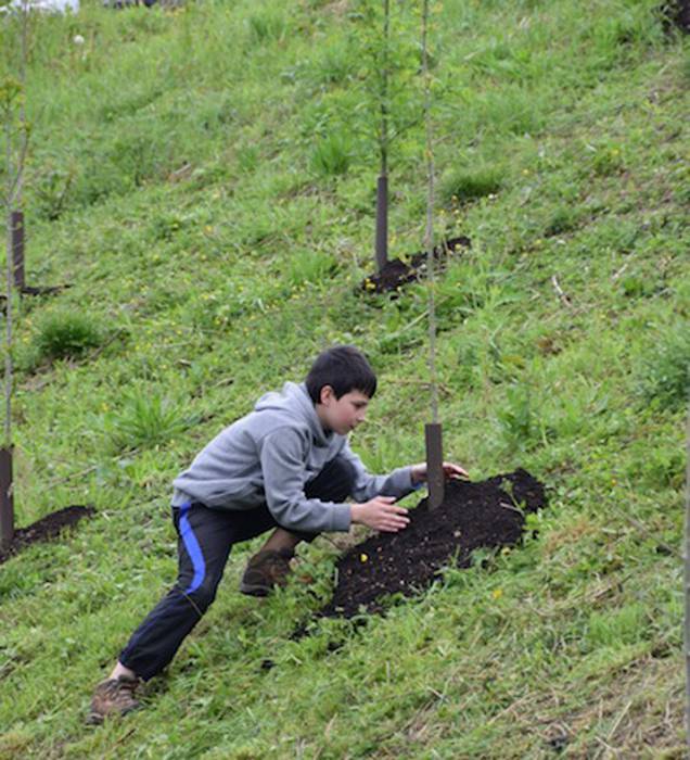 Zuhaitz eguna Ibarra 16 1460992041390