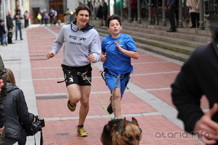 txakur krosa tolosa 2016 11 1458498833901