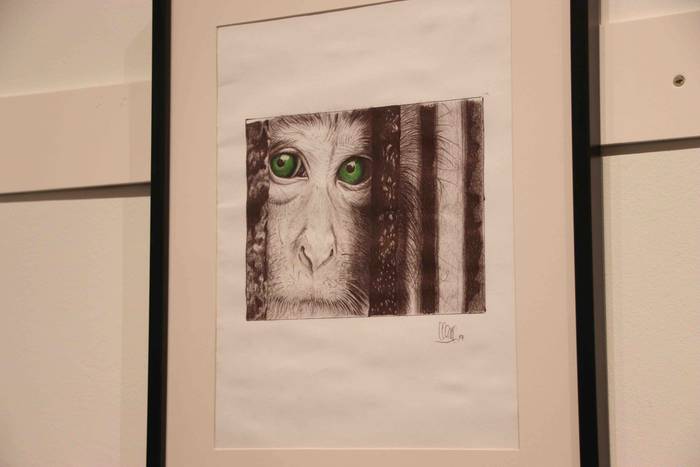 ander ortiz de murua aldaket 7 1542897014372