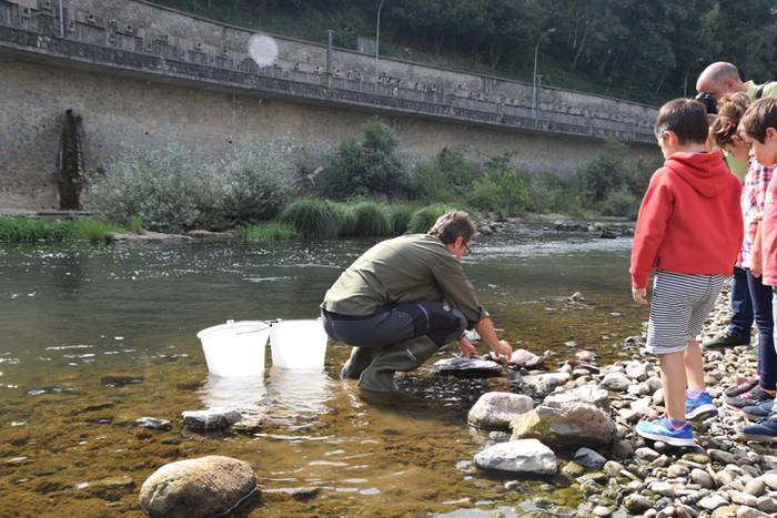 Izokinkumeak, Orian 14 1500724764233