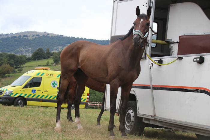 Zaldiak lasterka, gazteak desafioan 1 1472406460748