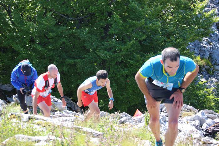 T3T, Hernio 2019 8 1560687977415