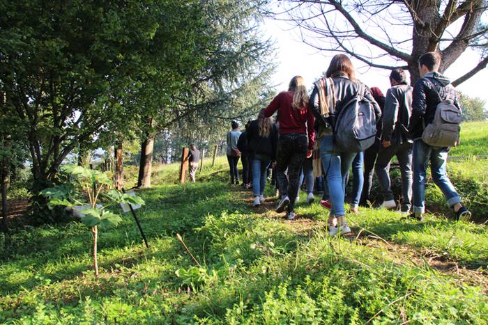 Gazte artisten erakusketa za 4 1508142027672