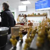 Bisita gidatua eta dastaketa